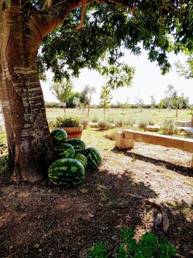 Masseria Cataldo Corigliano dʼOtranto Εξωτερικό φωτογραφία
