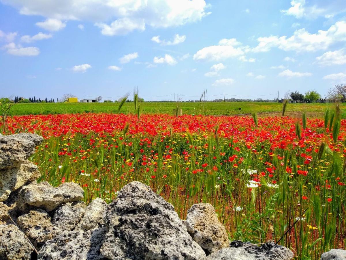 Masseria Cataldo Corigliano dʼOtranto Εξωτερικό φωτογραφία