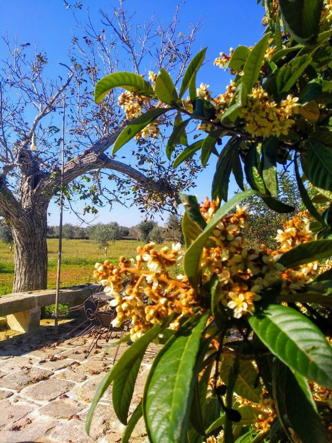 Masseria Cataldo Corigliano dʼOtranto Εξωτερικό φωτογραφία