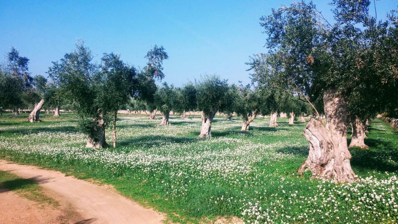 Masseria Cataldo Corigliano dʼOtranto Εξωτερικό φωτογραφία